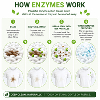 Natural Enzyme Soaker & In-Wash Booster – Sweat Stains & Odour Remover 
